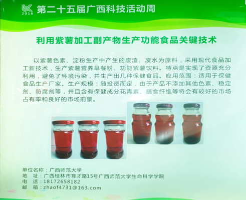 我校组织参加第二十五届广西科技活动周活动